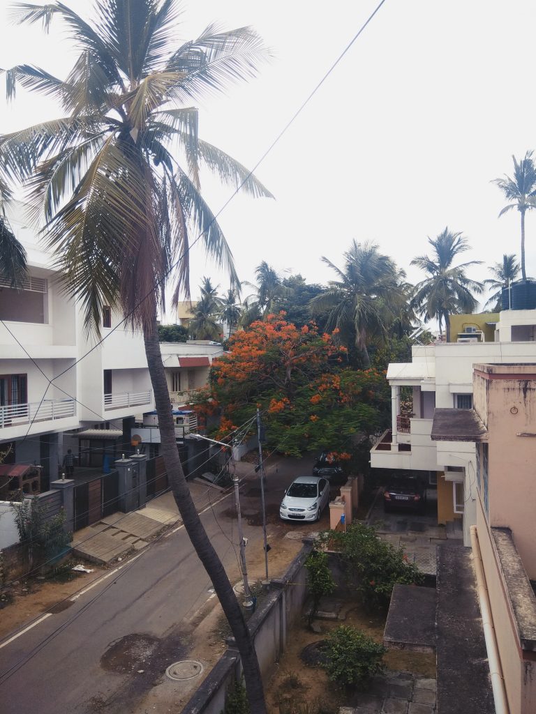 Second continuous cloudy and breezy day.. Annanagar, Chennai